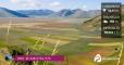Fioritura di Castelluccio